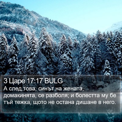 3 Царе 17:17 BULG Bible Verse Image