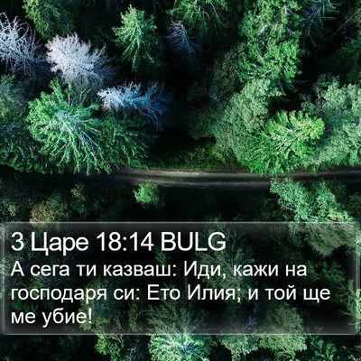 3 Царе 18:14 BULG Bible Verse Image