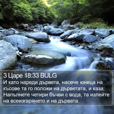 3 Царе 18:33 BULG Bible Verse Image
