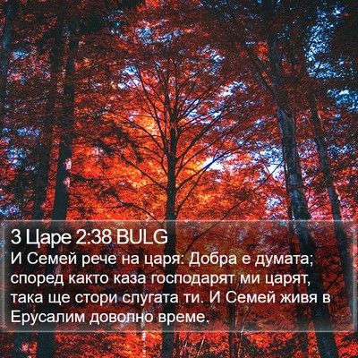 3 Царе 2:38 BULG Bible Verse Image