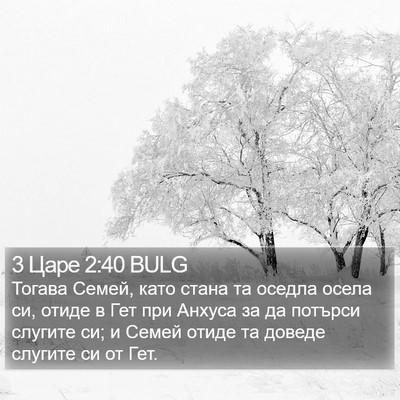 3 Царе 2:40 BULG Bible Verse Image