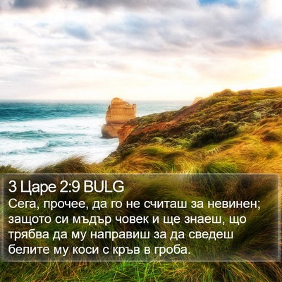 3 Царе 2:9 BULG Bible Verse Image