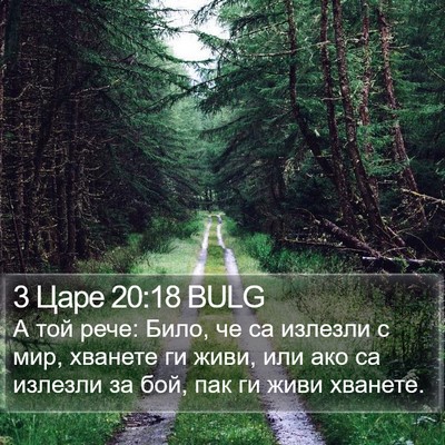 3 Царе 20:18 BULG Bible Verse Image