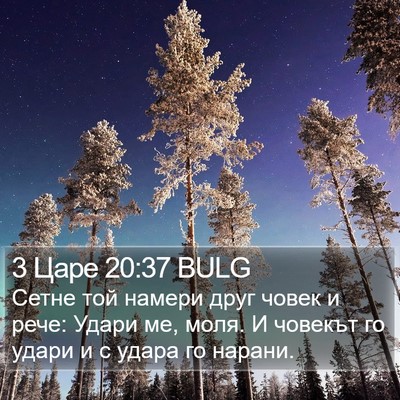 3 Царе 20:37 BULG Bible Verse Image