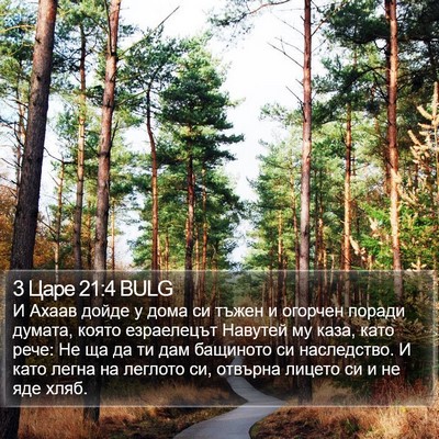 3 Царе 21:4 BULG Bible Verse Image