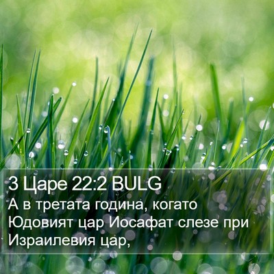 3 Царе 22:2 BULG Bible Verse Image