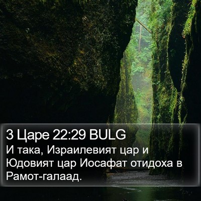 3 Царе 22:29 BULG Bible Verse Image