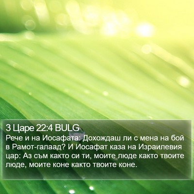3 Царе 22:4 BULG Bible Verse Image