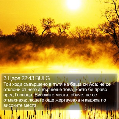 3 Царе 22:43 BULG Bible Verse Image