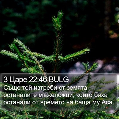 3 Царе 22:46 BULG Bible Verse Image