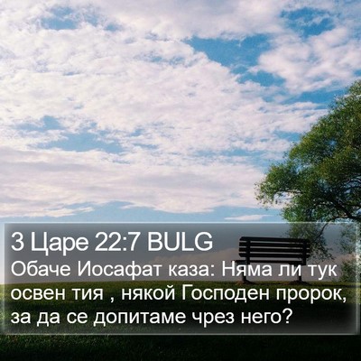 3 Царе 22:7 BULG Bible Verse Image