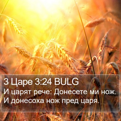 3 Царе 3:24 BULG Bible Verse Image
