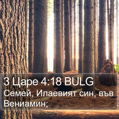 3 Царе 4:18 BULG Bible Verse Image