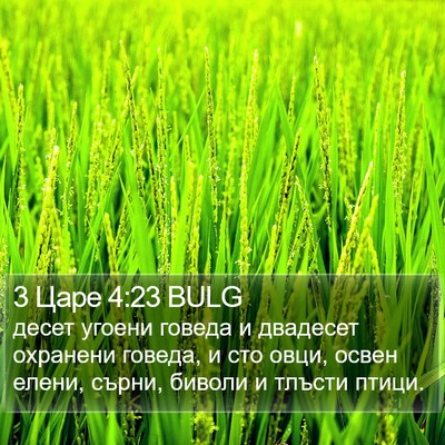 3 Царе 4:23 BULG Bible Verse Image