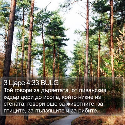 3 Царе 4:33 BULG Bible Verse Image