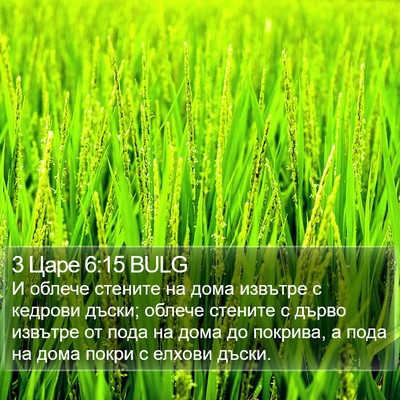 3 Царе 6:15 BULG Bible Verse Image