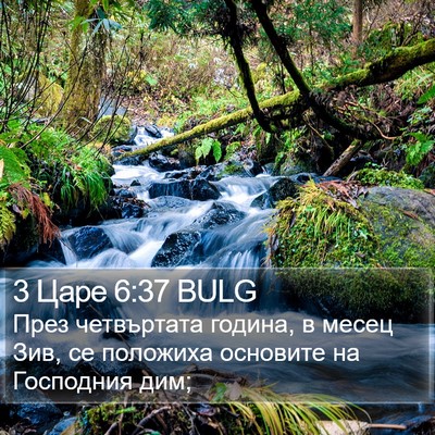 3 Царе 6:37 BULG Bible Verse Image