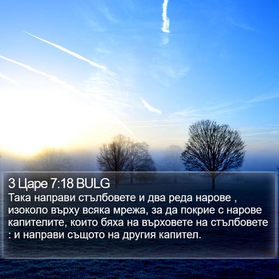 3 Царе 7:18 BULG Bible Verse Image