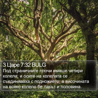 3 Царе 7:32 BULG Bible Verse Image
