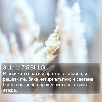 3 Царе 7:5 BULG Bible Verse Image