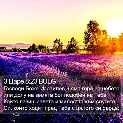 3 Царе 8:23 BULG Bible Verse Image