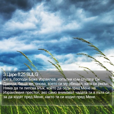 3 Царе 8:25 BULG Bible Verse Image