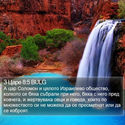 3 Царе 8:5 BULG Bible Verse Image