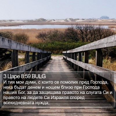 3 Царе 8:59 BULG Bible Verse Image