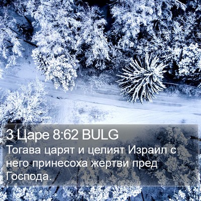 3 Царе 8:62 BULG Bible Verse Image