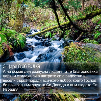 3 Царе 8:66 BULG Bible Verse Image