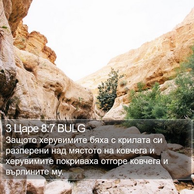 3 Царе 8:7 BULG Bible Verse Image