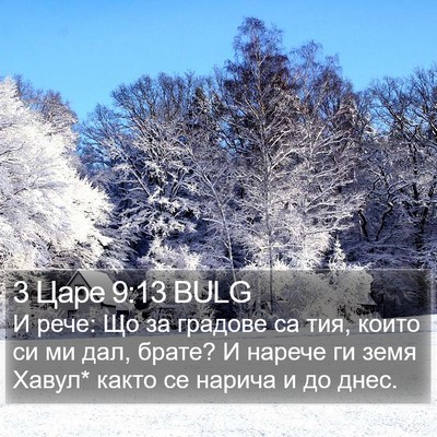 3 Царе 9:13 BULG Bible Verse Image