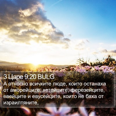 3 Царе 9:20 BULG Bible Verse Image