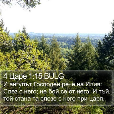 4 Царе 1:15 BULG Bible Verse Image
