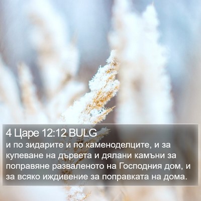 4 Царе 12:12 BULG Bible Verse Image