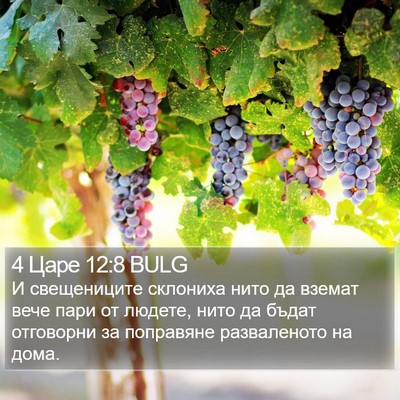 4 Царе 12:8 BULG Bible Verse Image