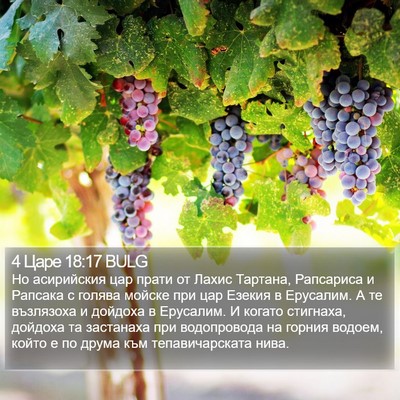 4 Царе 18:17 BULG Bible Verse Image