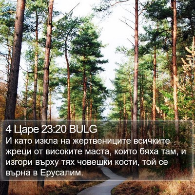 4 Царе 23:20 BULG Bible Verse Image