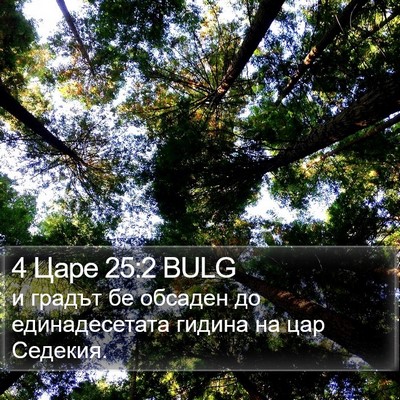 4 Царе 25:2 BULG Bible Verse Image