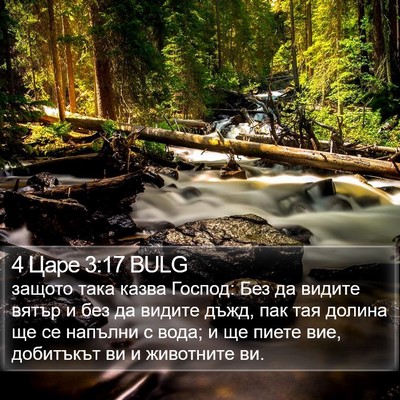 4 Царе 3:17 BULG Bible Verse Image