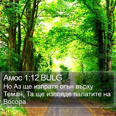 Амос 1:12 BULG Bible Verse Image