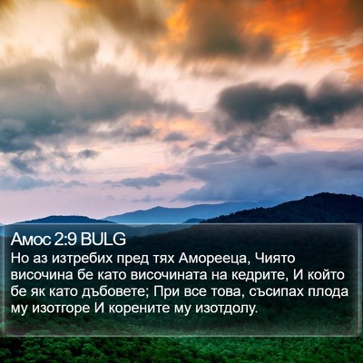 Амос 2:9 BULG Bible Verse Image
