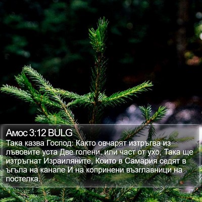 Амос 3:12 BULG Bible Verse Image
