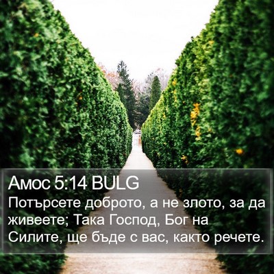 Амос 5:14 BULG Bible Verse Image