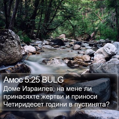Амос 5:25 BULG Bible Verse Image