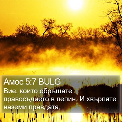 Амос 5:7 BULG Bible Verse Image