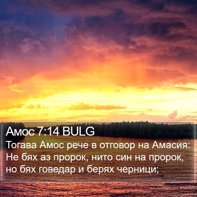 Амос 7:14 BULG Bible Verse Image