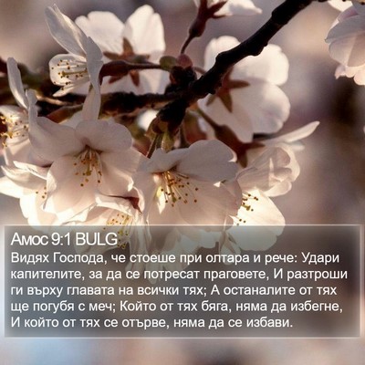 Амос 9:1 BULG Bible Verse Image