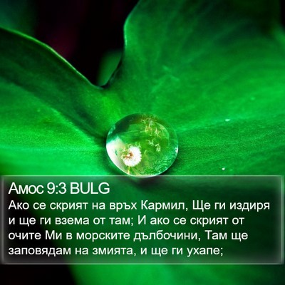 Амос 9:3 BULG Bible Verse Image