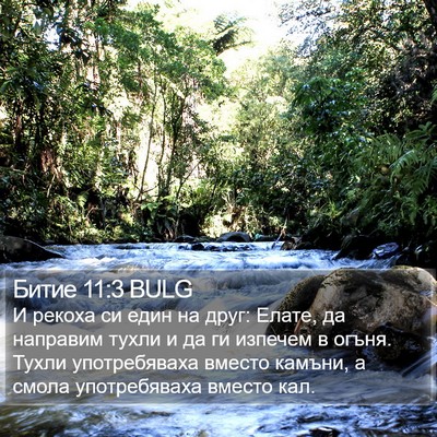 Битие 11:3 BULG Bible Verse Image